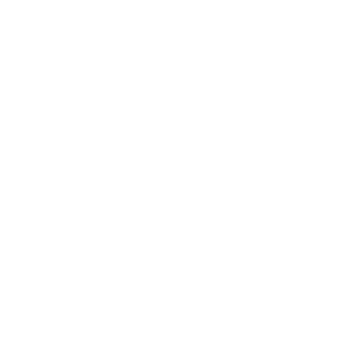 LLI Logo